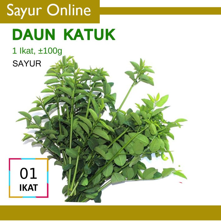 

[Sayuronline] DAUN KATUK SEGAR - SAYUR PELANCAR ASI [1 Ikat ]