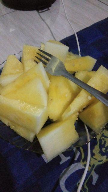 Kiwi Loyang Brownies 10x20cm