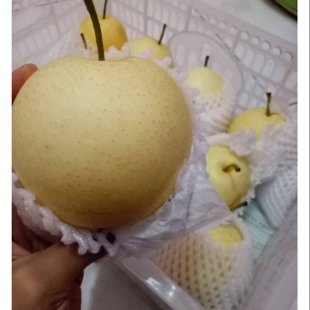 

Buah Pear CENTURY Manis