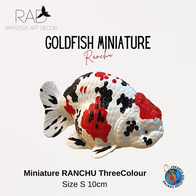 PATUNG IKAN KOKI RANCHU THREECOLOUR ( size S: 10cm )