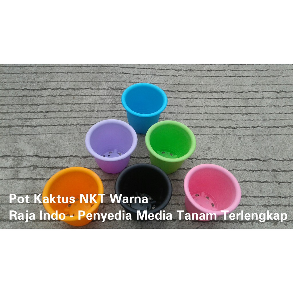 Pot Kaktus Nkt 10 Biru Orange Hijau Kuning Dll Pot Plastik Hijau Bibit Kaktus Orange