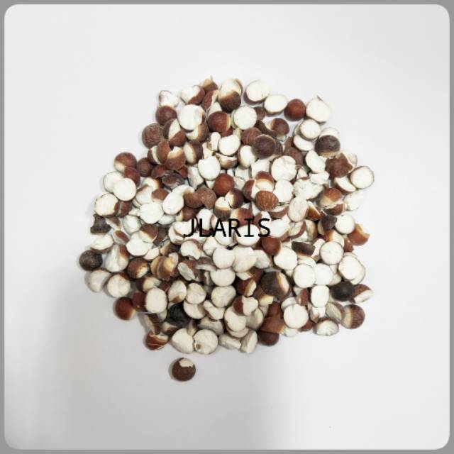 

Qian Shi / Fox Nut Seeds / Euryale Seeds / Kiansep / Lakbi 100gr