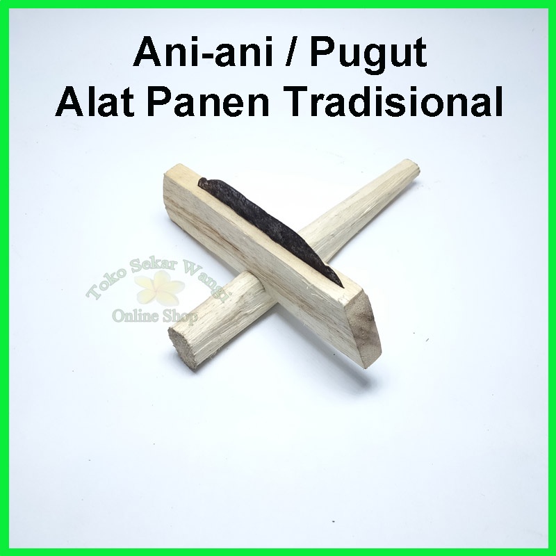 Ani-ani / Pugut / Ketam (Alat Panen Padi / Sayuran Dll) Alat Panen Tradisional