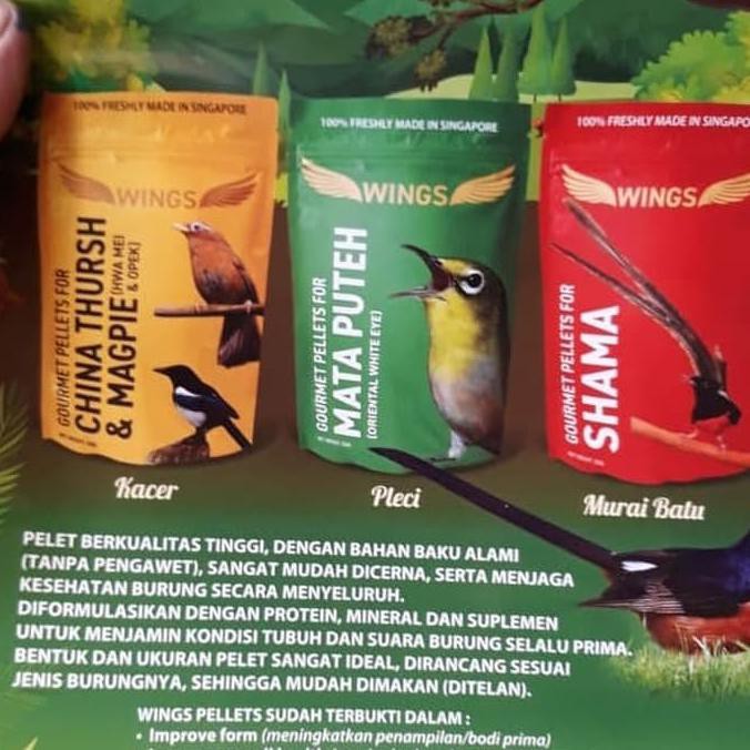 Gambar Burung Murai Batu Singapura Kumpulan Gambar Bagus Gambar Burung Murai Batu Singapura Kumpulan Gambar Bagus