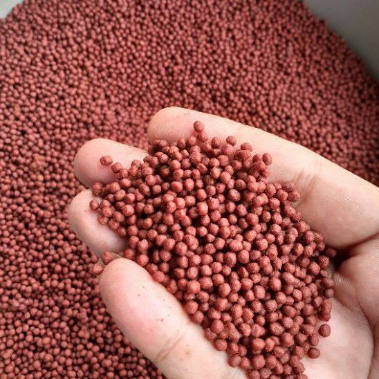 Pelet Ikan Louhan, Pakan Ikan Louhan Lohan, Cencu, Kamfa