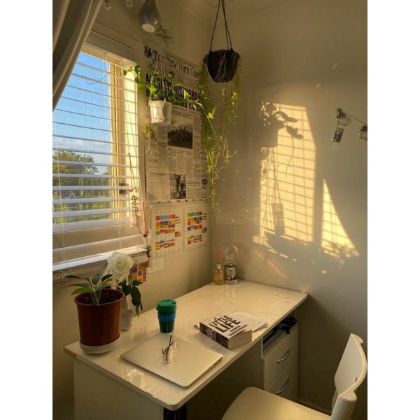 fake plants/pohon sintetis/pohon mainan/room decor