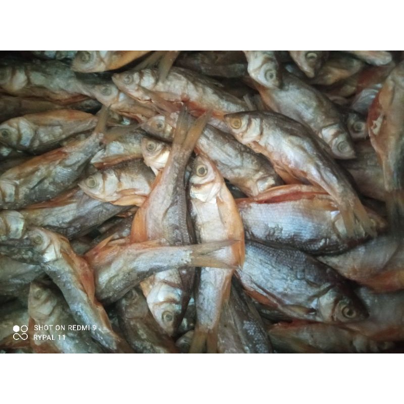 

ikan banjar masin pet 250g