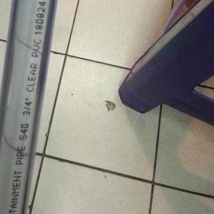 ✥ Pipa PVC Transparan 3/4" (inch) 1 Meter ❇