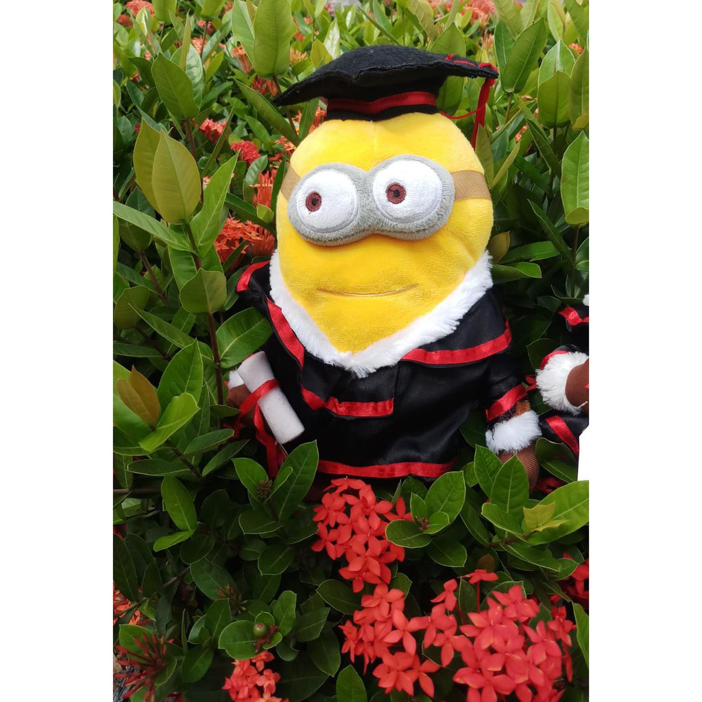 BONEKA MINION TOGA L (DAVE ,GEORGE)