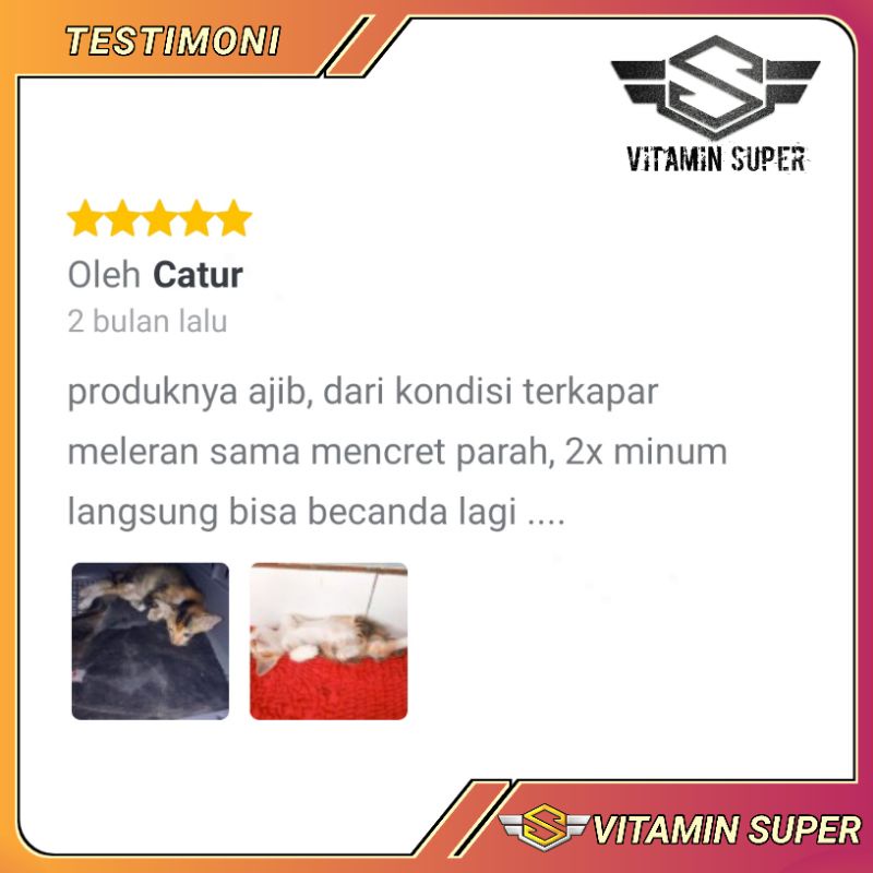 Obat Kucing Anti Virus D2 | Obat Flu Berat, Panleu, Calici, Distemper, Mencret, Pipis Darah, Sariawan, Lemes, Muntah, Berliur Mulutnya