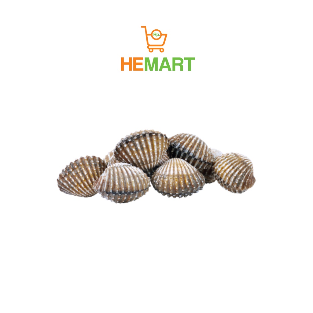 

Kerang Dara Utuh, Seafood segar, Bandung 500gr