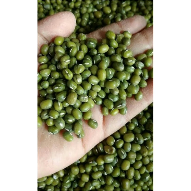 

Kacang Hijau Super ( @ 250 Gram )