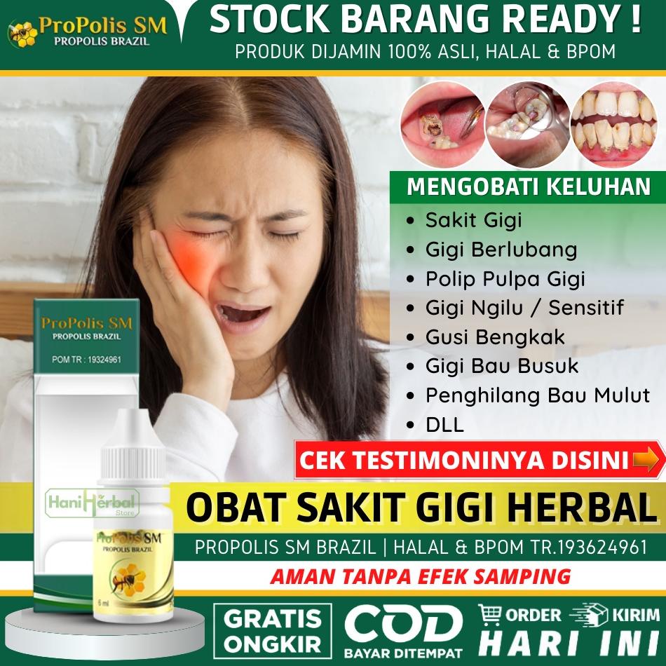 Obat Herbal Sakit Gigi Berlubang Yang Alami Dan Ori  - Walatra Propolis Brazilian Asli - Propolis Sm