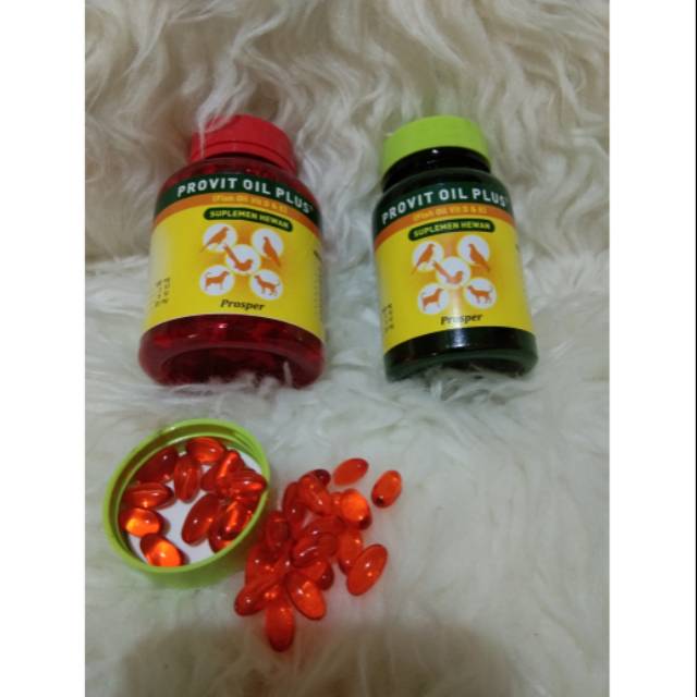 Minyak ikan provit oil plus untuk burung,kucing,anjing