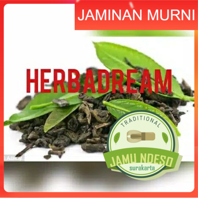 

TEH HIJAU LOKAL BUBUK 100 GRAM - Camellia Sinensis - MURNI - JSR - REMPAH
