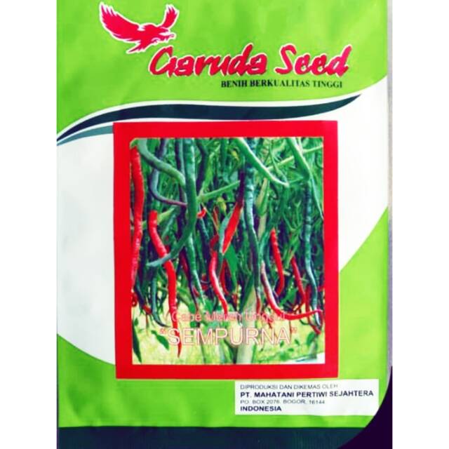 Benih Bibit Cabe Merah Keriting SEMPURNA || Benih Cabe Rawit Keriting || Cabe Keriting