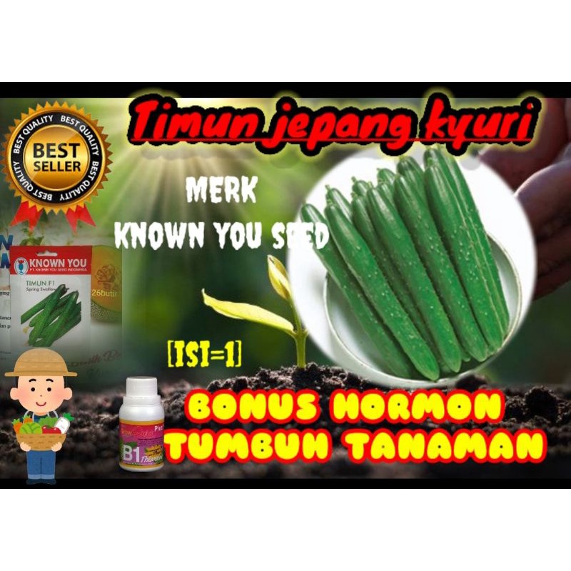 timun jepang kyuri asli know you seed