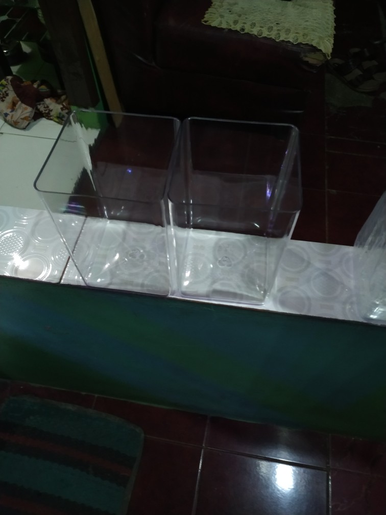 Soliter Akrilik Ikan Cupang