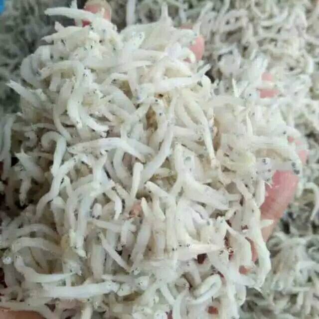 

IKAN TERI MEDAN IKAN ASIN IKAN ASIN MURAH 80 GRAM