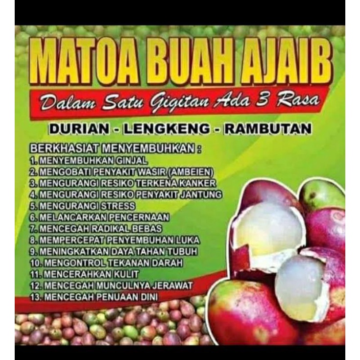 

buah matoa/buah kesehatan