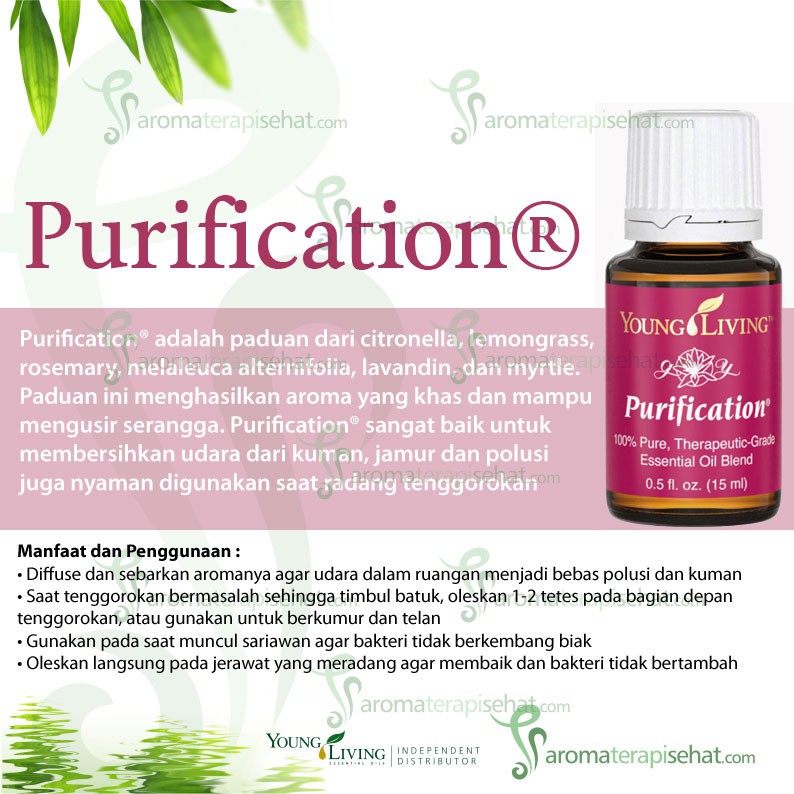 Young Living Essential Oil Purification 15ml Shopee Indonesia