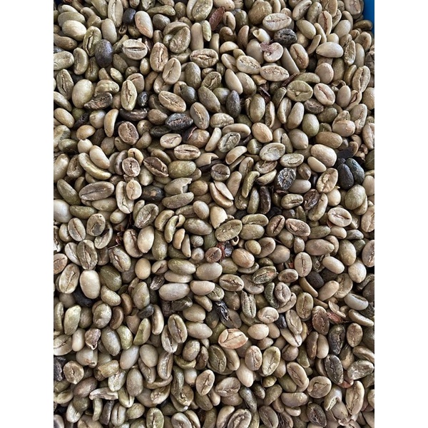 

kopi arabica ijen