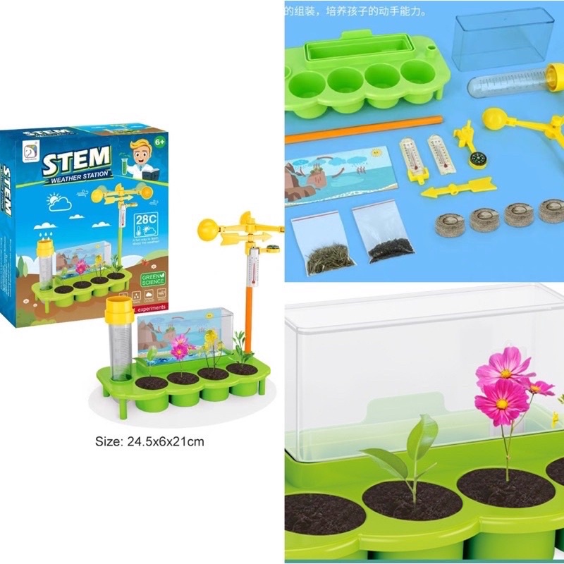 stem toys steam education toys diy project plant maze dino garden mainan bertanam