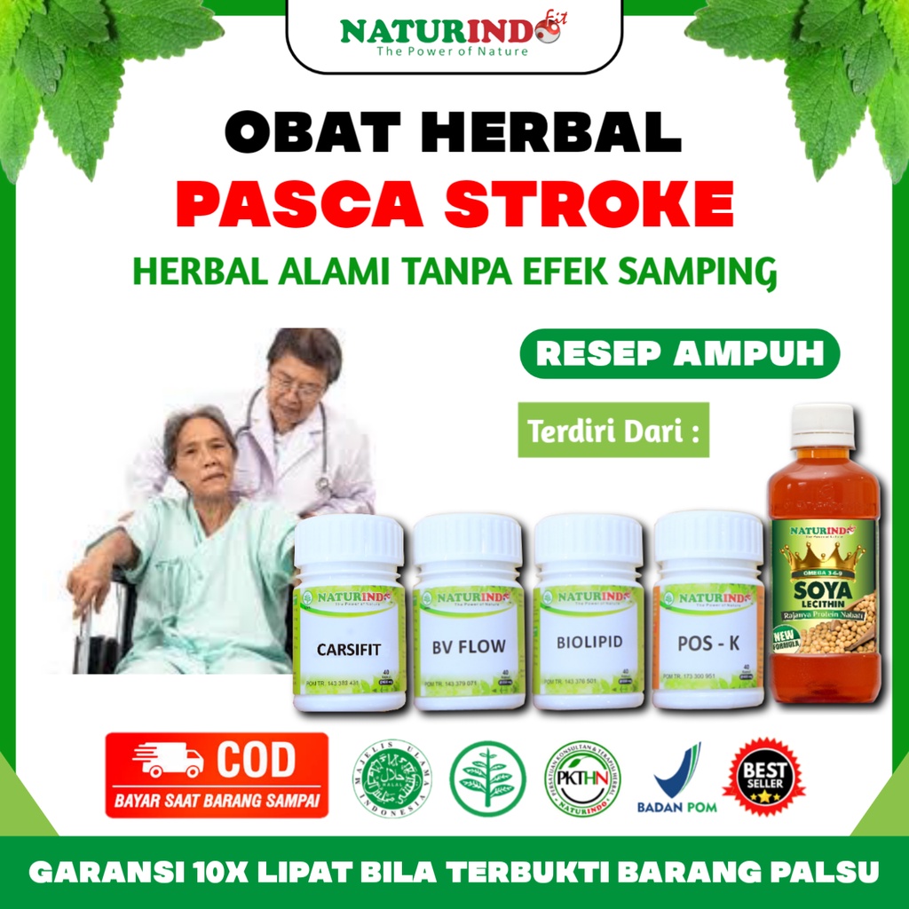 Obat Herbal Pasca Stroke Strok Struk Lumpuh Separo & Total Berat & Ringan Pecah Penyumbatan Otak Pem
