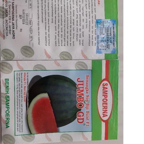 New Product|SQ36|Semangka Non Biji Bulat F1 JUMBO GD