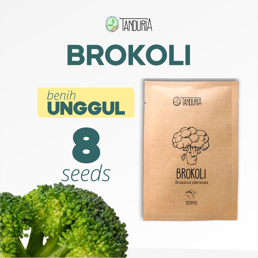 BROKOLI