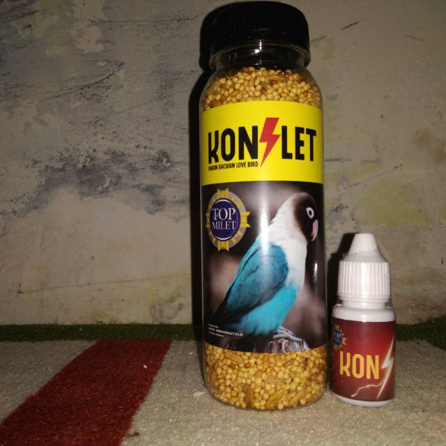 Paket regular konslet aa duki