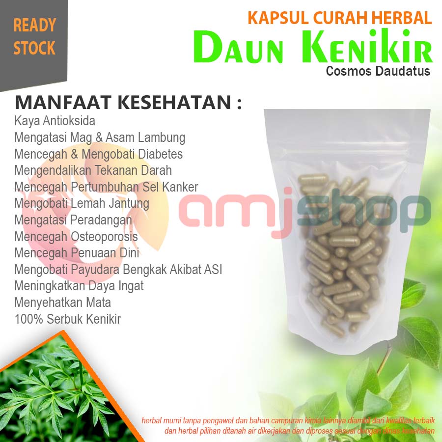 

Daun kenikir Kapsul curah herbal daun kenikir kapsul herbal antioksidan maag lambung lemah jantung