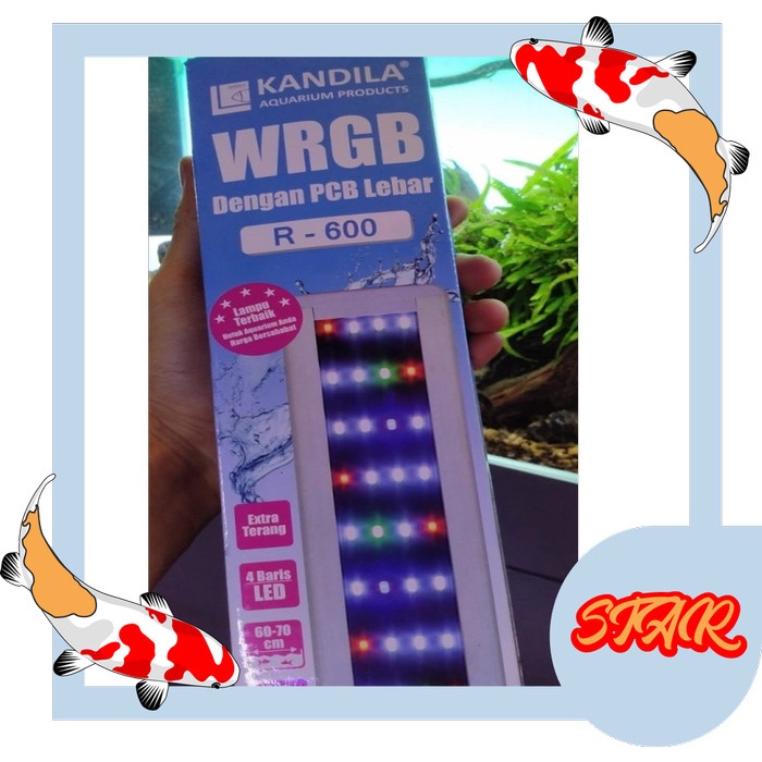 lampu led KANDILA R 600 WRGB led gantung 70 CM aquarium aquascape