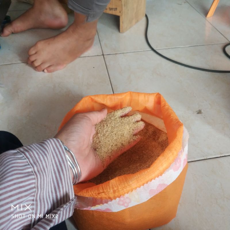 

telur jangkrik alam super