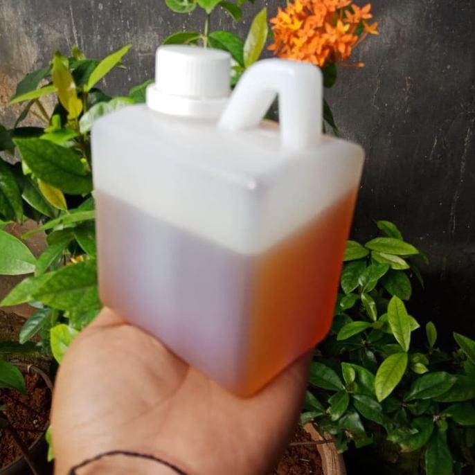 

madu randu original 500gr