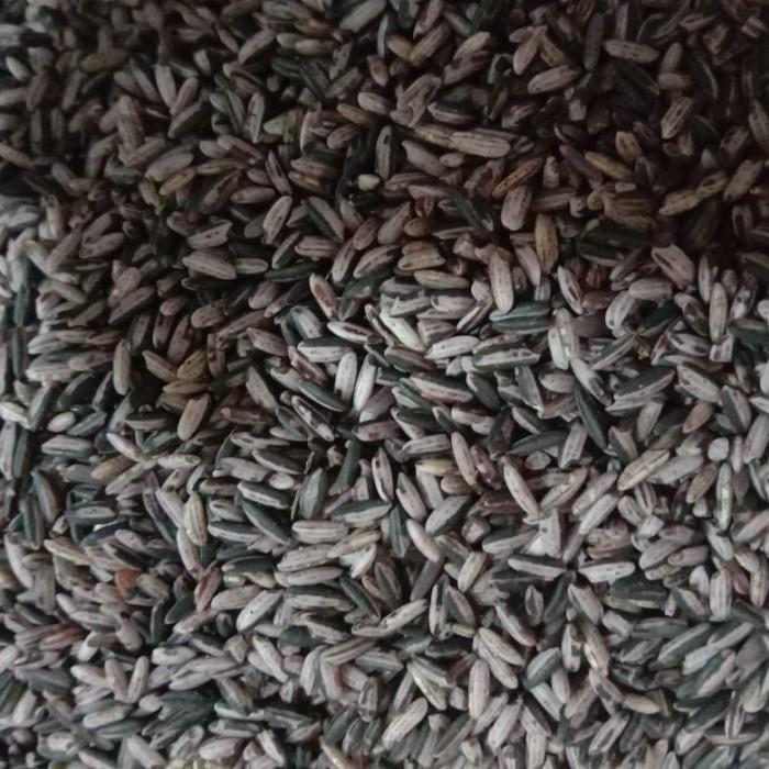 

KETAN-BERAS- BERAS KETAN HITAM 1KG -BERAS-KETAN.