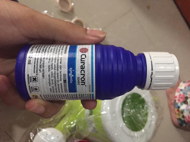 Curacron | Insektisida | Kutu Putih | Obat Hama