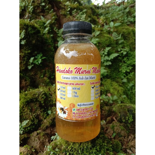 

madu liar asli dan murni 200ml