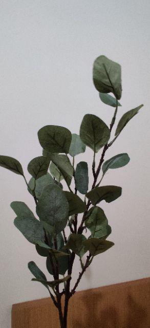 Euca. Eucalyptus Artificial