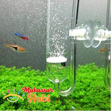 CO2 GLASS Diffuser TOP AQUA Diameter 20mm 20 mm Aquarium Aquascape