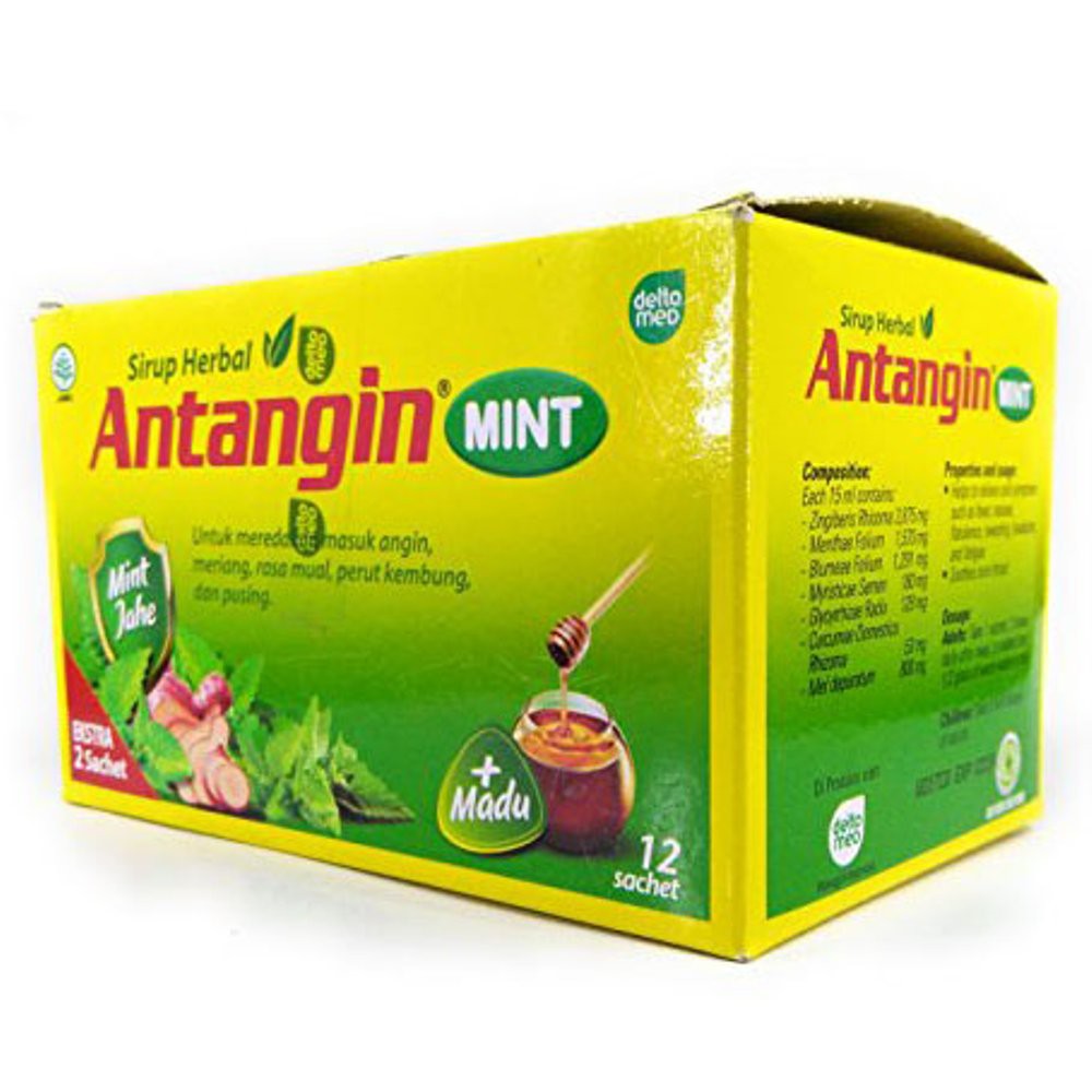 

Antangin GMINT Syrup 12's DL