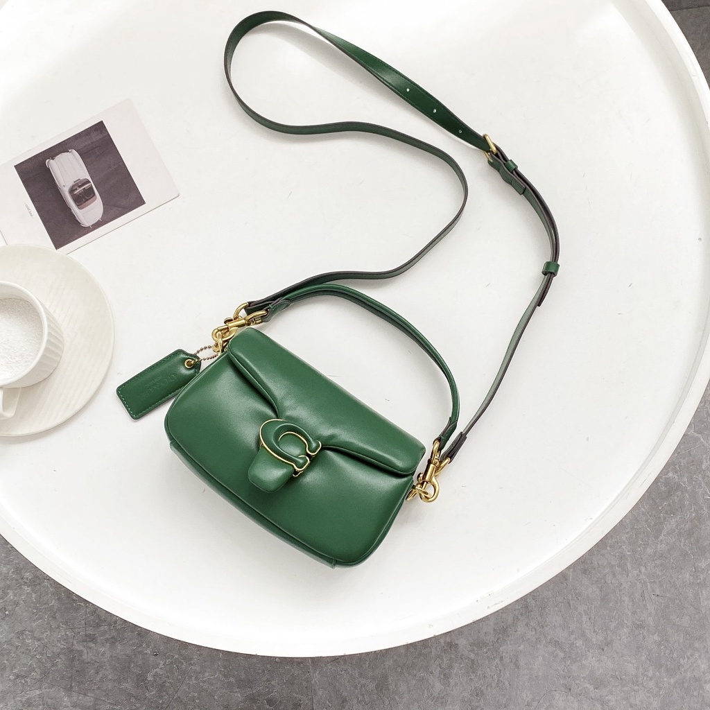 COACH 3880, mini pillow bag