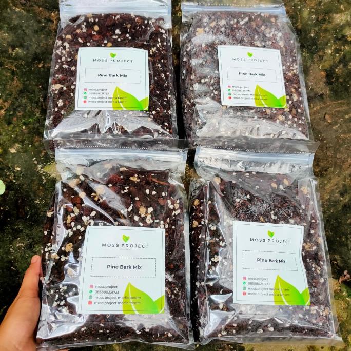 

PROMO PINE BARK MIX BELI 3 dapat 4 ---NEW---