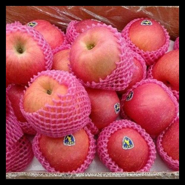 

Buah Apel Fuji ( Garing & Manis )