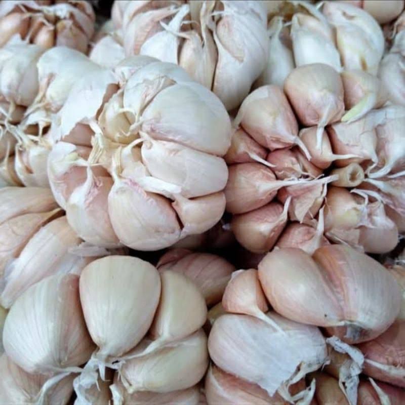 

[1 KG] Bawang Putih Kepel ukuran sedang ke besar / Bawang Putih sinco termurah