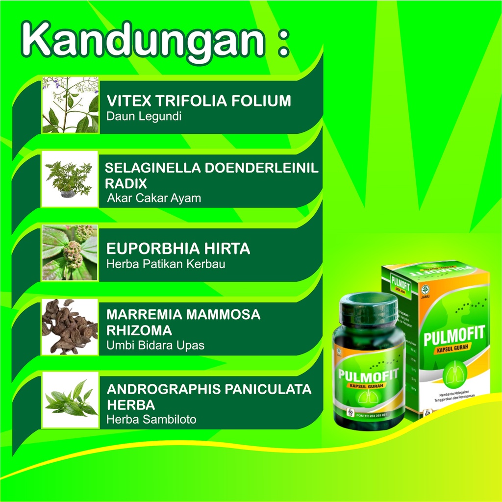 PULMOFIT ORIGINAL Kapsul Gurah Obat Gurah Herbal Obat Sesak Nafas Obat ASMA Obat Sinusitis-3