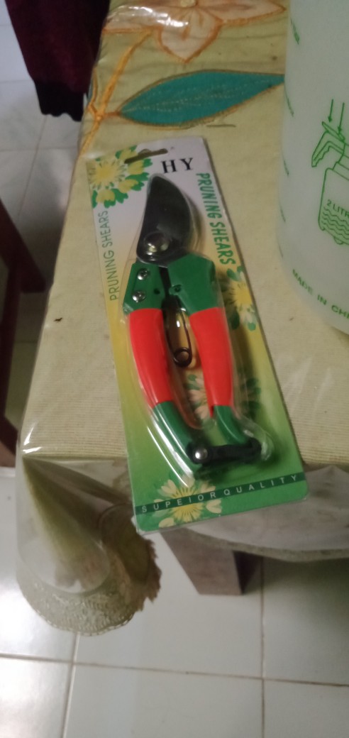 Gunting Dahan Stek Ranting Stenles Murah Tajam Igm Fukuda 8