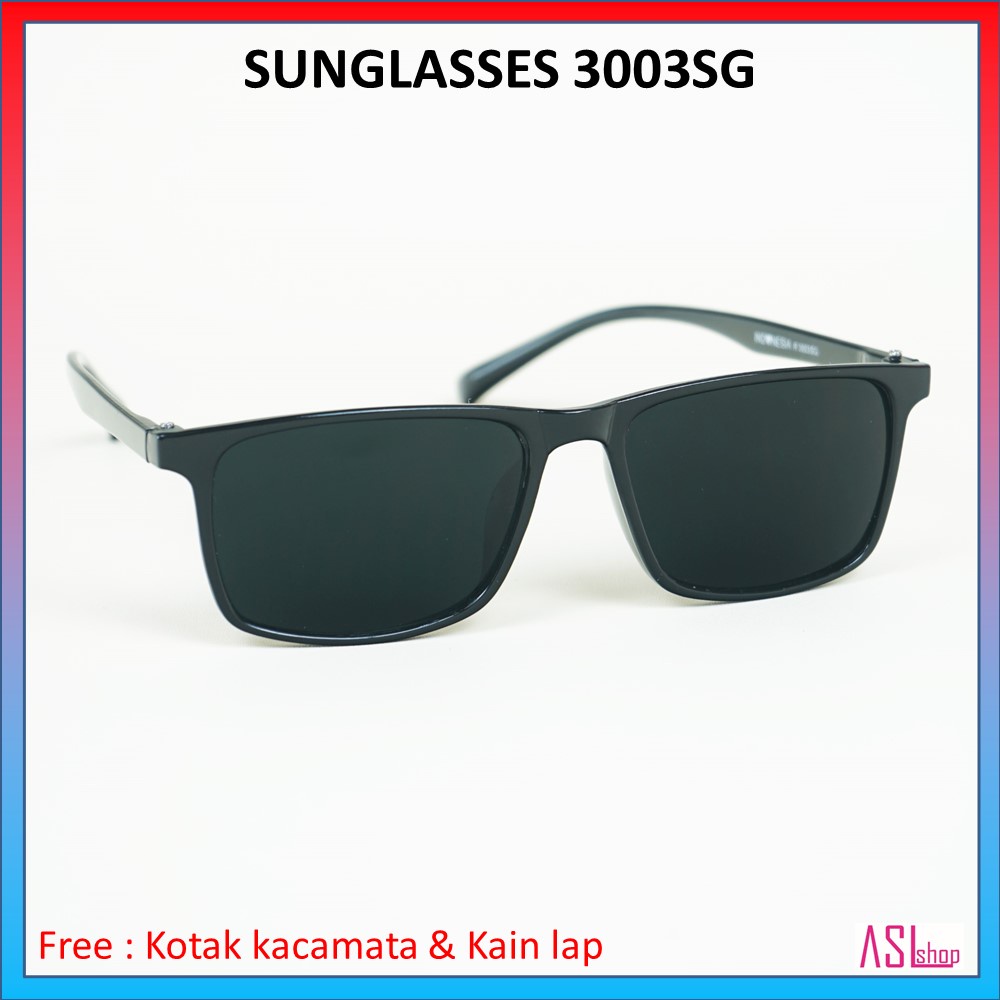 SUNGLASSES 3003SG