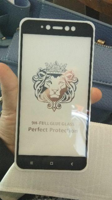 Glass Full 5dimensi Tipe Lengkap Lebih Tebal