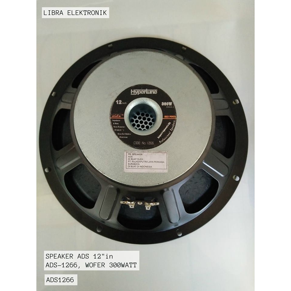 12 300 watt speaker
